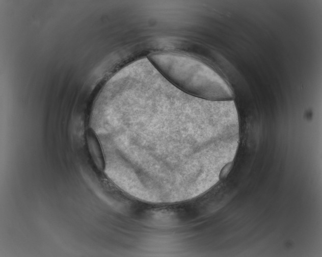 X0000115840500200912242020