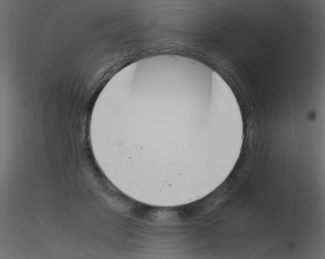 X0000115840501200912242020