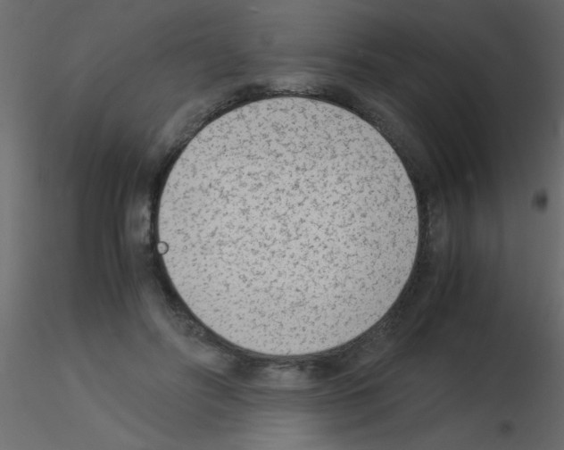 X0000115840502200912242020