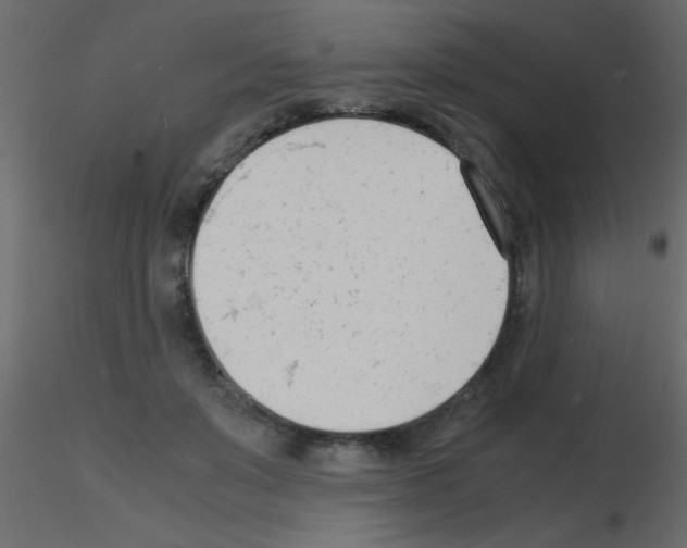 X0000115840503200912242020