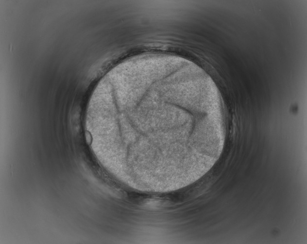 X0000115840504200912242020