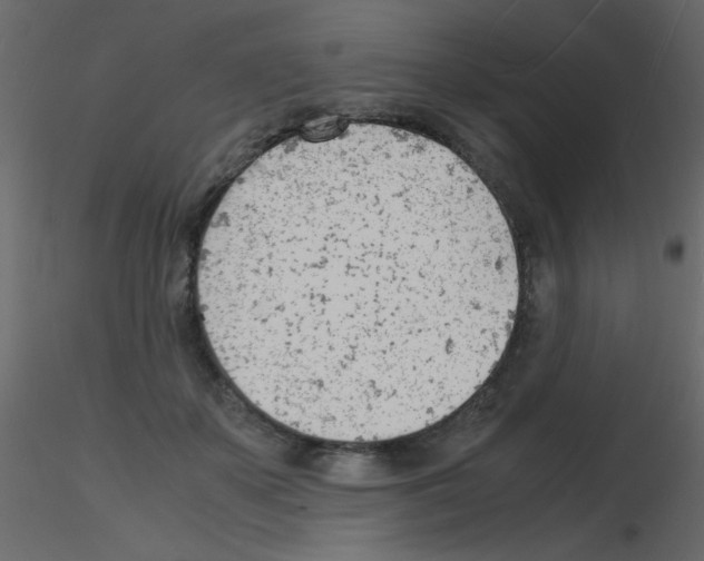 X0000115840507200912242019