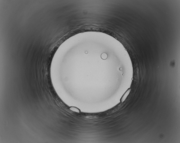 X0000115840508200912242019