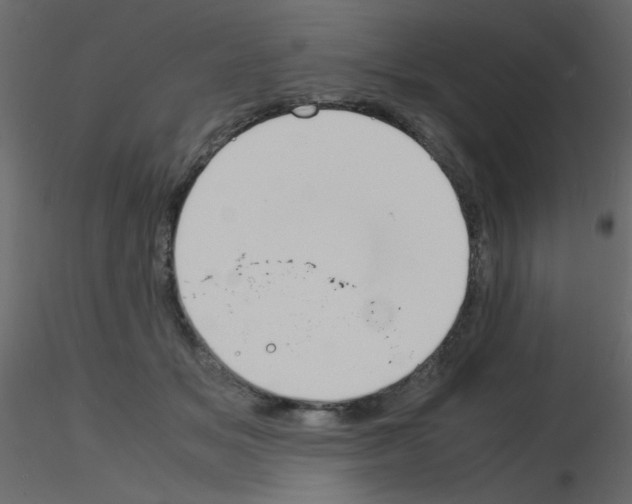 X0000115840509200912242019