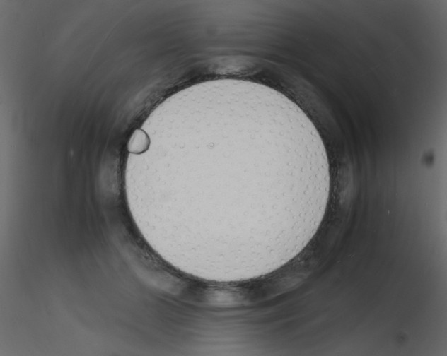 X0000115840510200912242019