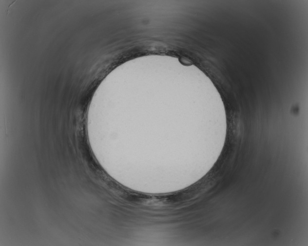 X0000115840511200912242019