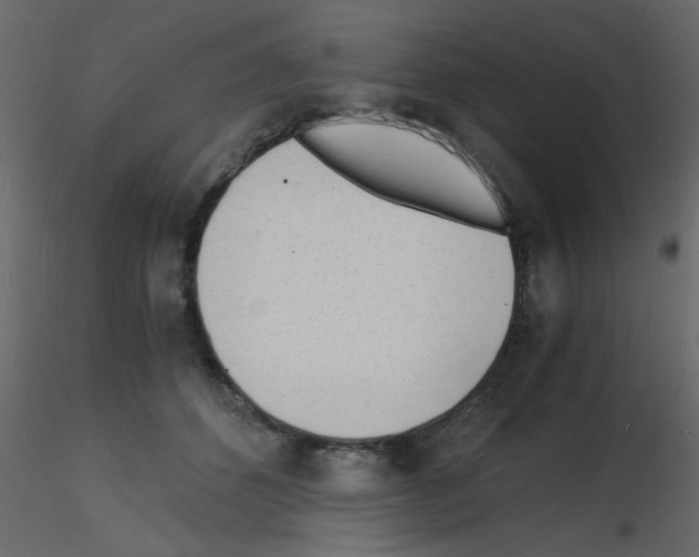 X0000115840512200912242019