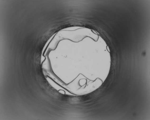 X0000115840513200912242019