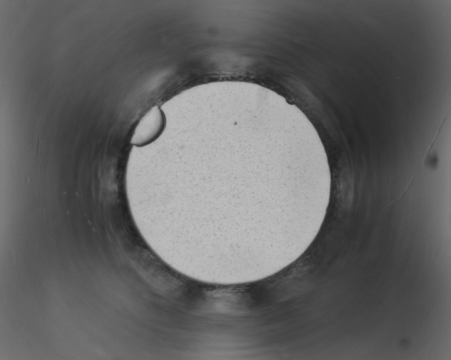 X0000115840516200912242019