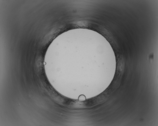 X0000115840518200912242019