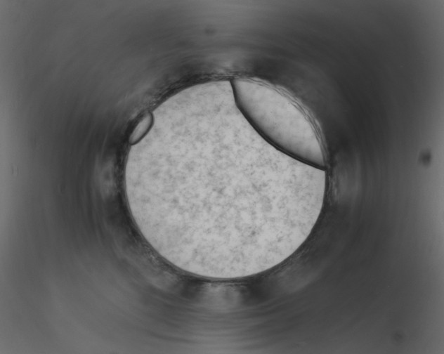 X0000115840520200912242019