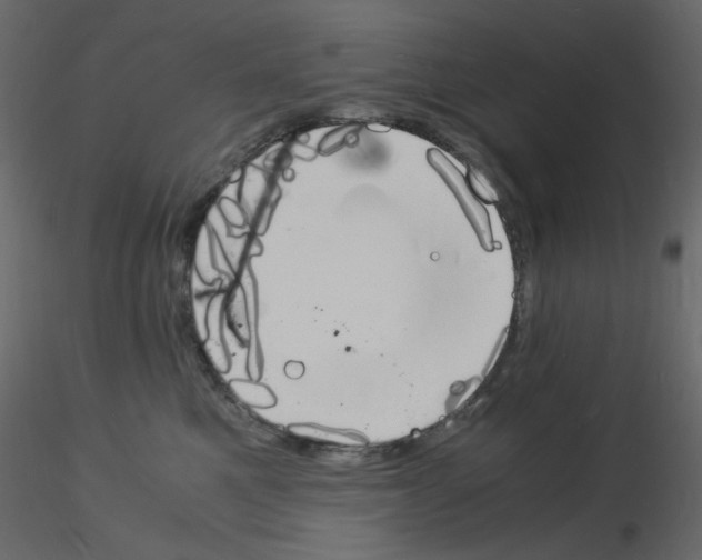 X0000115840521200912242019