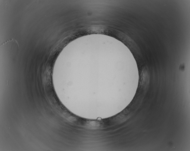 X0000115840522200912242019