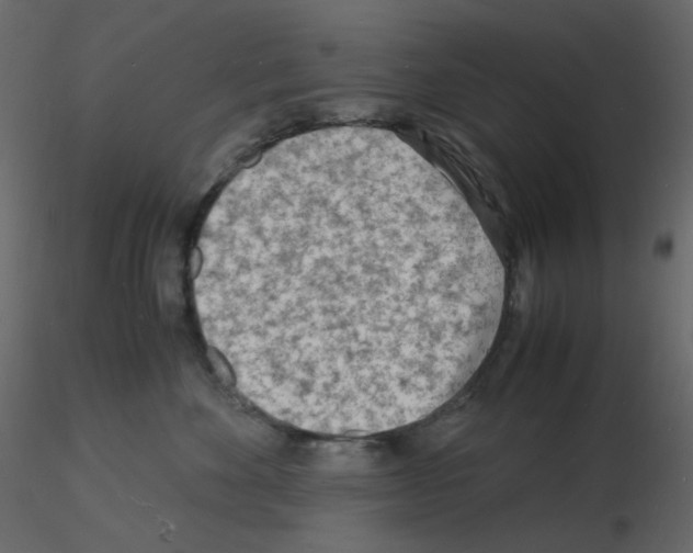 X0000115840524200912242019