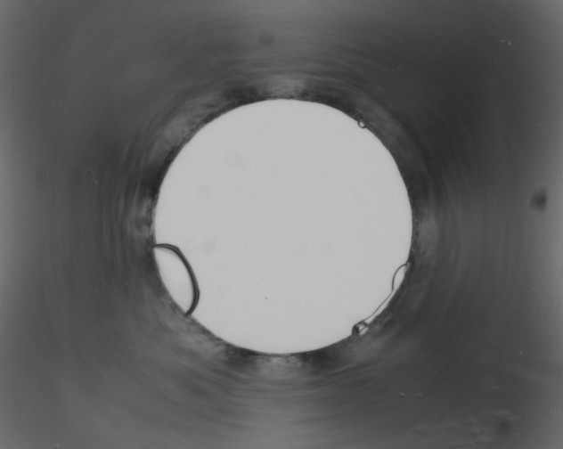 X0000115840525200912242019