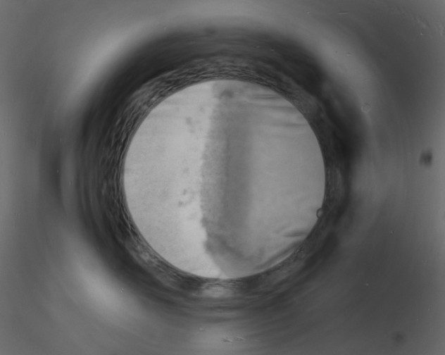 X0000115840526200912242019