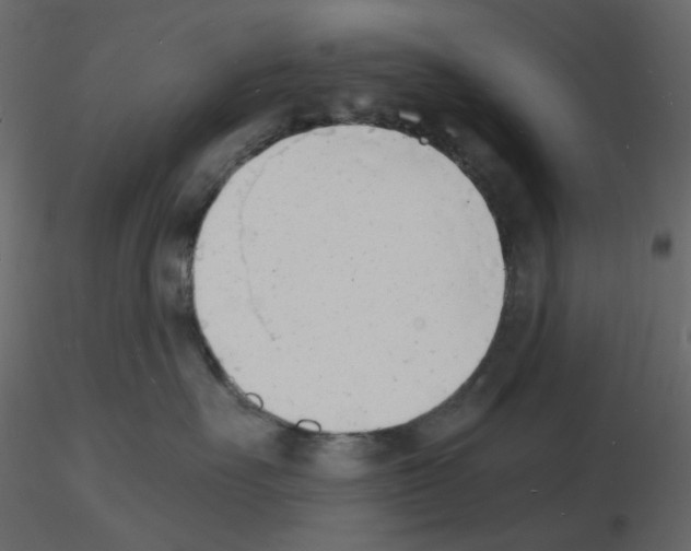 X0000115840527200912242019