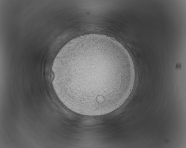 X0000115840528200912242019