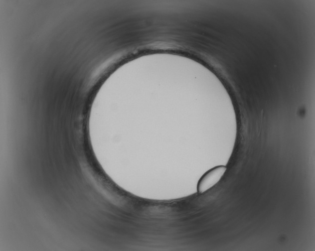 X0000115840535200912242019