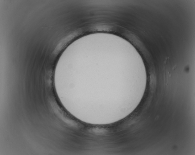 X0000115840537200912242019