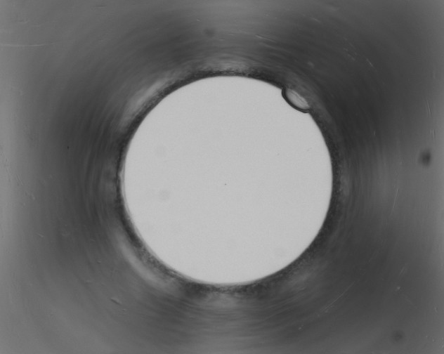 X0000115840538200912242019