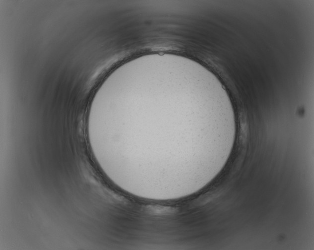 X0000115840539200912242019