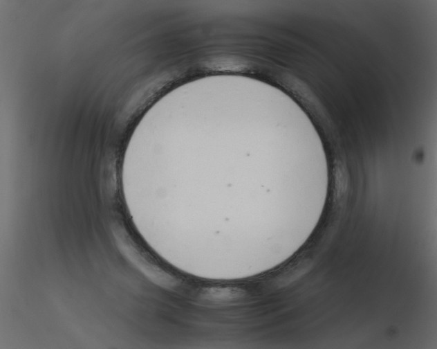 X0000115840541200912242019