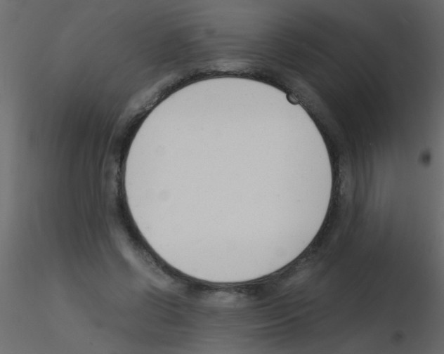 X0000115840542200912242019