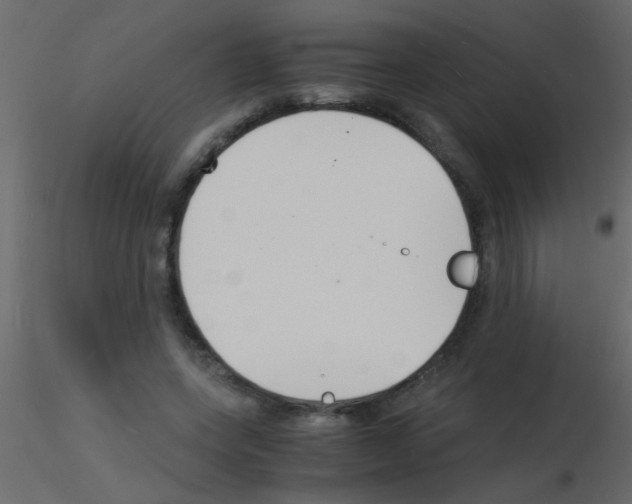 X0000115840543200912242019