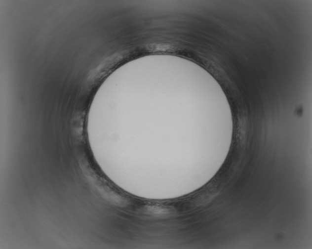 X0000115840545200912242019