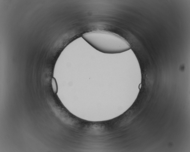 X0000115840546200912242019