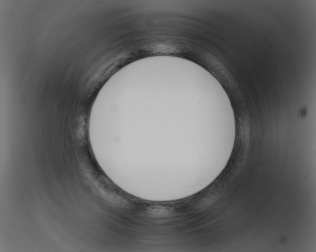 X0000115840549200912242019