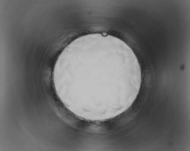 X0000115840550200912242019