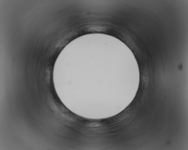 X0000115840551200912242019