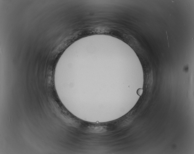 X0000115840553200912242019