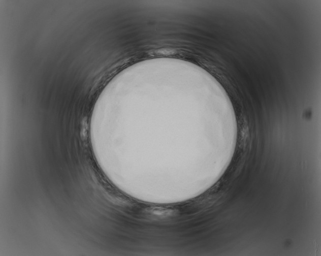 X0000115840555200912242019