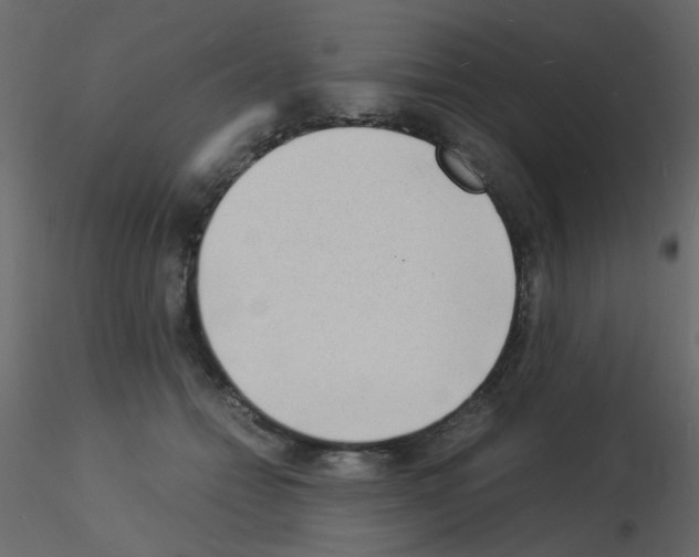 X0000115840558200912242019