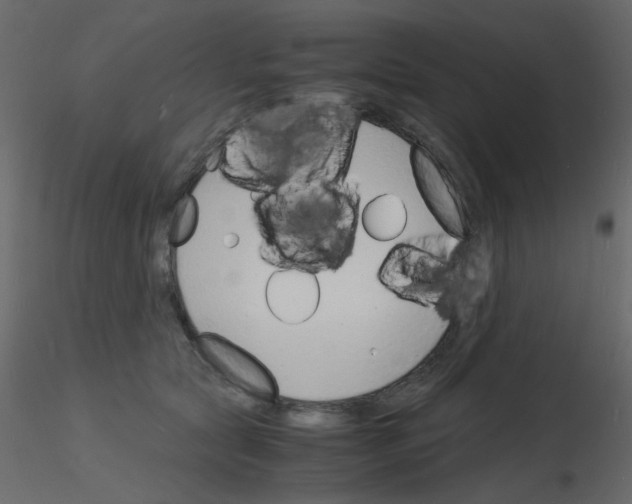 X0000115840561200912242019