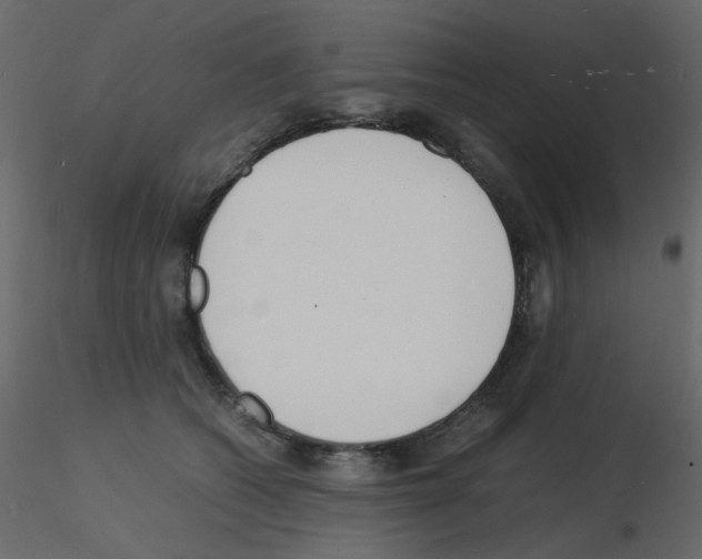 X0000115840562200912242019