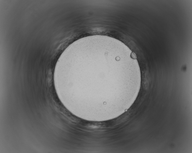 X0000115840563200912242019