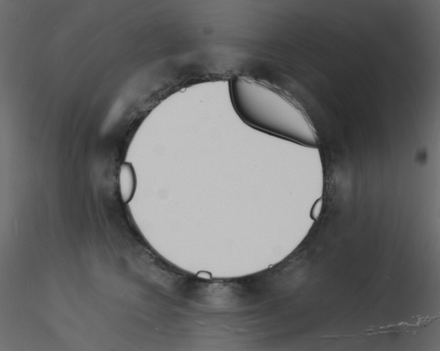 X0000115840566200912242019