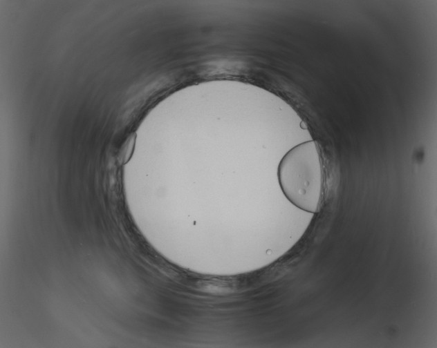 X0000115840567200912242019