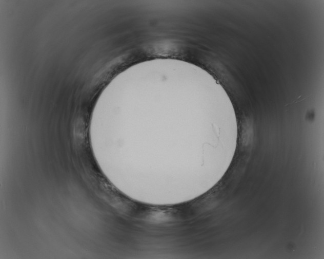 X0000115840569200912242019