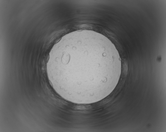 X0000115840571200912242019