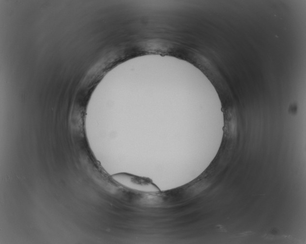 X0000115840573200912242019