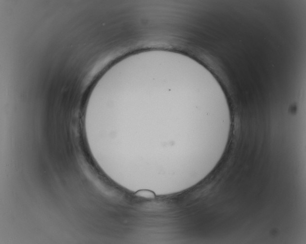 X0000115840578200912242019