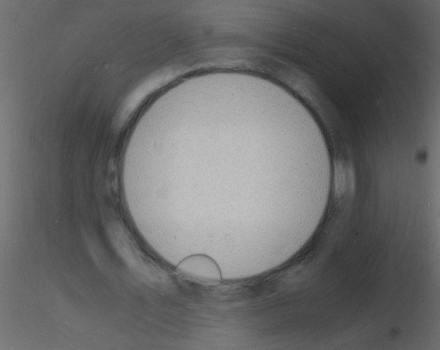 X0000115840579200912242018