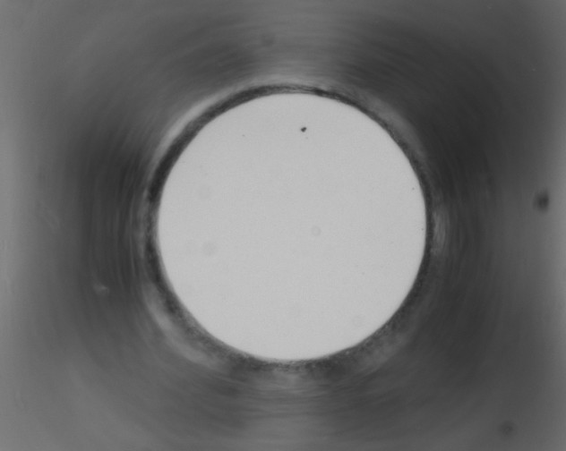 X0000115840580200912242018