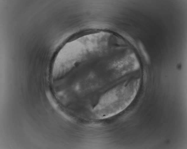 X0000115840581200912242018