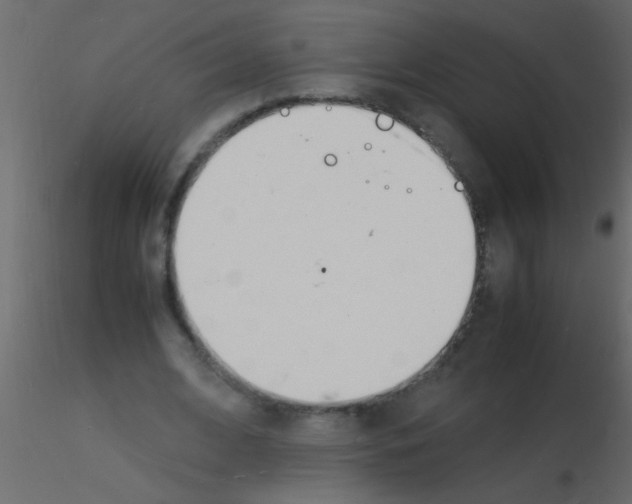 X0000115840584200912242018